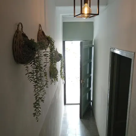 Apartamento Silvestre