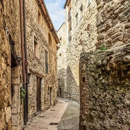 Silvestre Apartamento Besalú