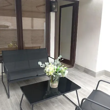 Silvestre Apartamento Besalú