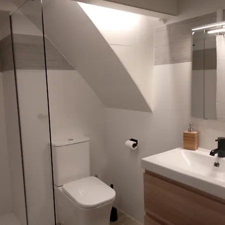 Apartamento Silvestre Besalú