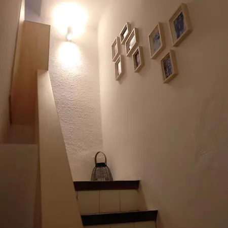 Apartamento Silvestre